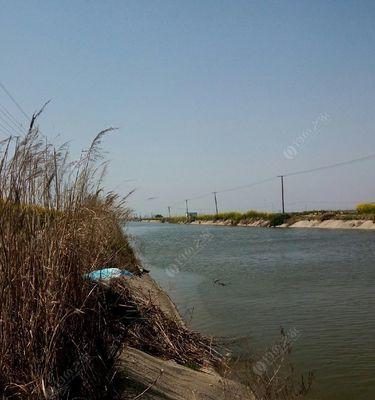 夏天在水渠钓鱼的技巧与方法（提升夏季水渠钓鱼成功率的关键技巧）