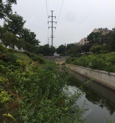 夏日雨中钓鱼技巧（钓鱼技巧）