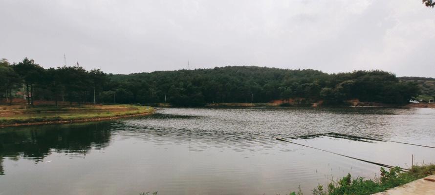 夏张水库钓鱼技巧（揭秘夏张水库钓鱼技巧）