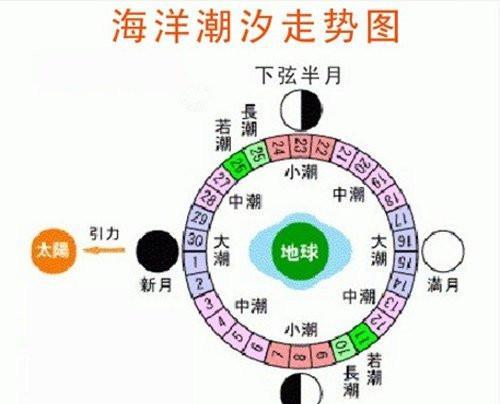 钓鱼达人教你以小潮水钓鱼的技巧（掌握关键诀窍）