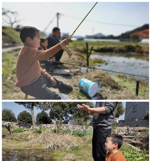 小池塘钓鱼技巧（提高成功率的关键在于观察）