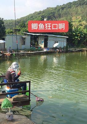 鸭场钓鱼技巧教程（掌握钓鱼的窍门）