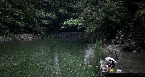 立夏雨天钓鱼技巧（以鸭河水库为例）