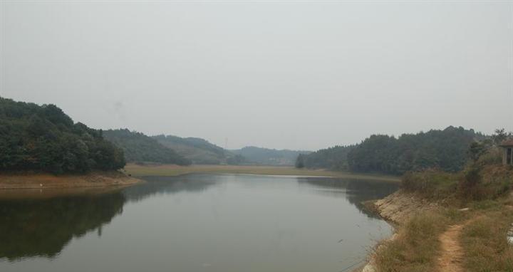 崖壁水库钓鱼技巧教程（掌握正确技巧）