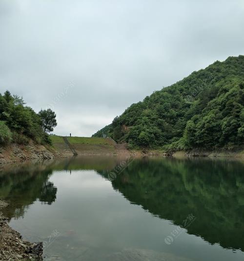 沿海水库钓鱼技巧大揭秘（掌握关键技巧）