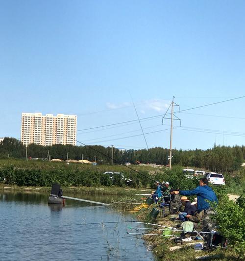 人工养鱼池钓鱼技巧（高效的养鱼池钓鱼经验分享）