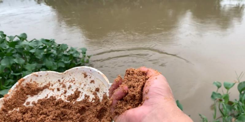 野钓打窝钓大鱼技巧（秘籍揭秘｜打窝技巧解析）