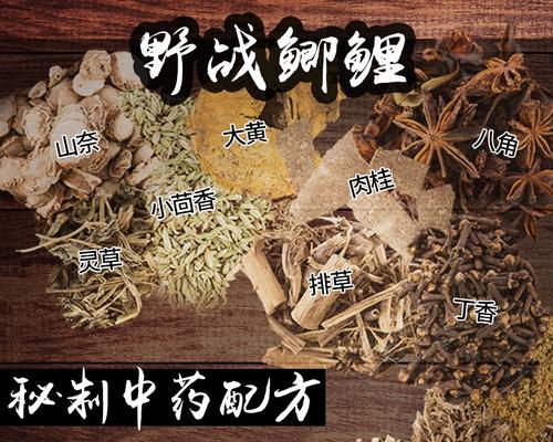 以野钓打窝技巧饵料配方偏方（提升钓鱼效果的秘密武器）