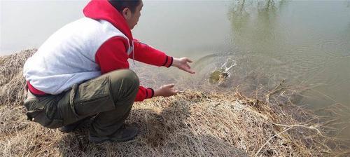 沙坑钓鱼技巧（掌握这些技巧）