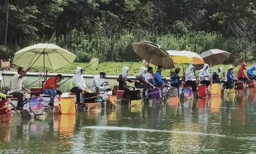 野钓斜坡钓鱼技巧（掌握这1个）