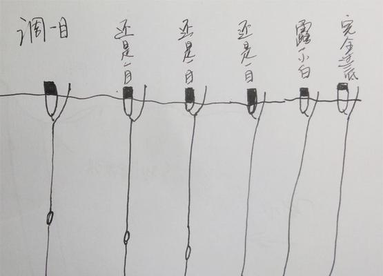 野钓鱼漂的选择技巧（助你快速找到适合的鱼漂工具）