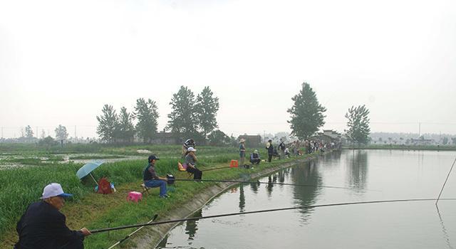 野钓技巧（探索自然水域）