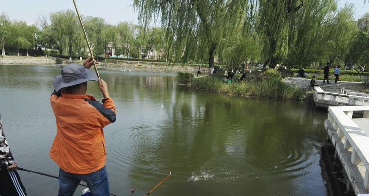 野钓走水鲤鱼散炮的正确用法和技巧（提升钓鲤成功率）