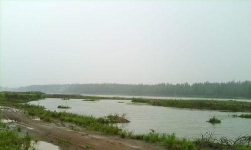 野河落水钓鱼技巧（掌握钓鱼技巧）