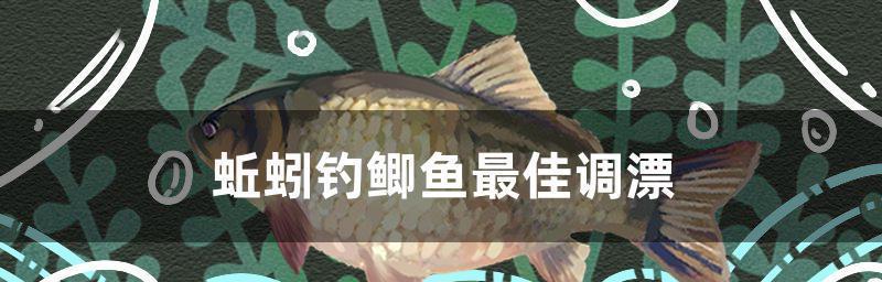 野河蚯蚓钓鱼的最佳调漂技巧（钓鱼达人传授的成功秘诀）