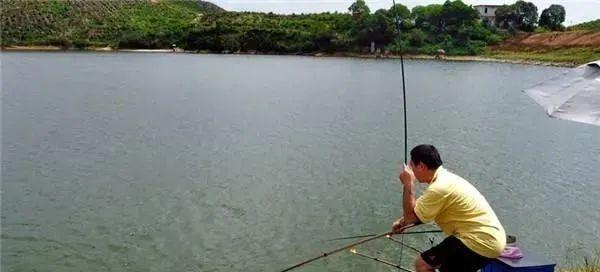 死水钓鲫鱼技巧（探秘野河中的捕鱼技巧）