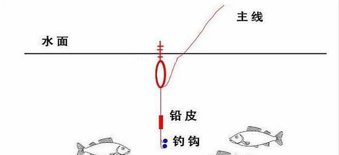 夜钓鲤鱼深水潜水调漂技巧（揭秘夜晚捕捉鲤鱼的高效技巧）