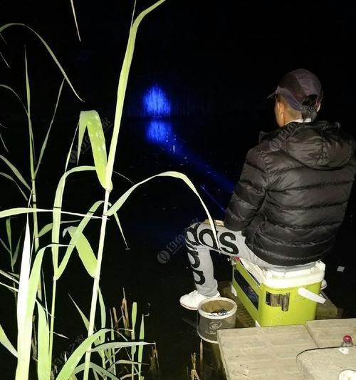 夜钓野河钓鲫鱼技巧（夜晚成功钓鲫鱼的实用技巧分享）