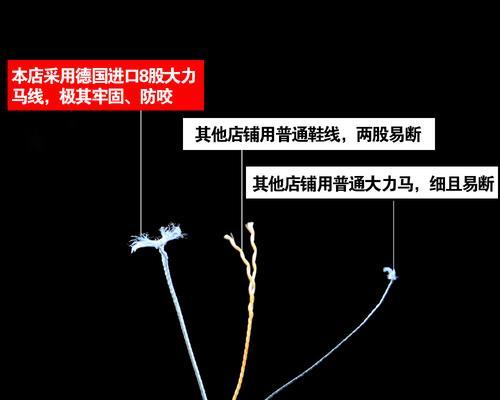 甲鱼钩钓鲶鱼技巧（捕捉鲶鱼的高效方法与技巧）