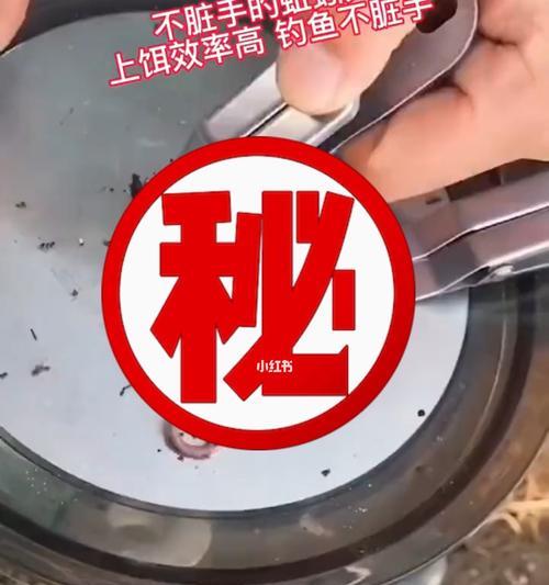 蚯蚓钓鱼小技巧（简单易学）