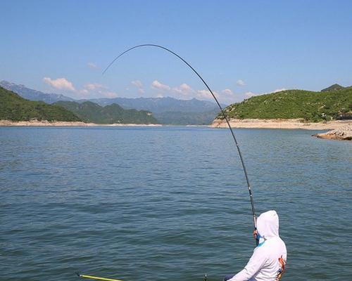 急流钓鱼技巧（掌握一招）