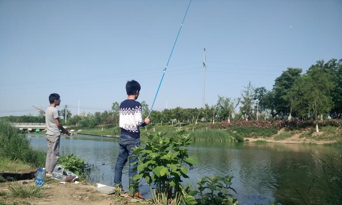 水果钓鱼打窝技巧（掌握钓鱼技巧）