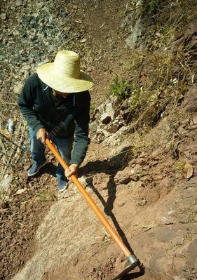 钓野鸭的技巧与方法（以鱼钩为工具的野鸭钓鱼技术详解）