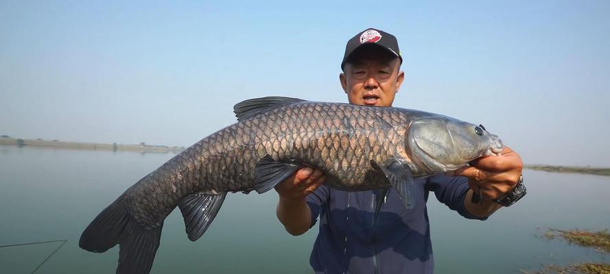 游泳池钓鱼技巧教学（钓鱼技巧）