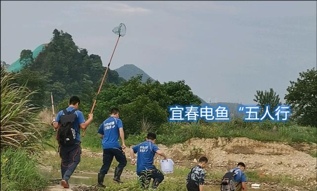 钓鱼技巧与注意事项（掌握电杆钓鱼的关键）