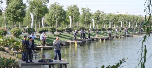 湄公河野钓的技巧与心得（揭秘越南湄公河最佳野钓技巧）