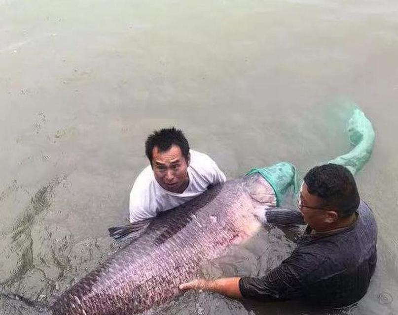 云龙湖钓鱼技巧大揭秘（探秘云龙湖钓鱼诀窍）