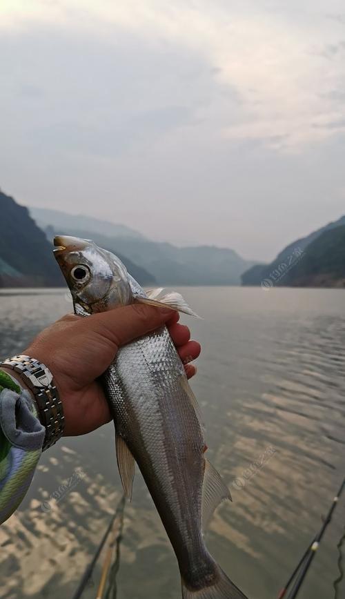 云南红河钓鱼技巧大揭秘（享受云南红河的钓鱼之旅）