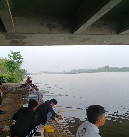 运河传统钓鱼技巧（探秘运河传统钓鱼的精髓）