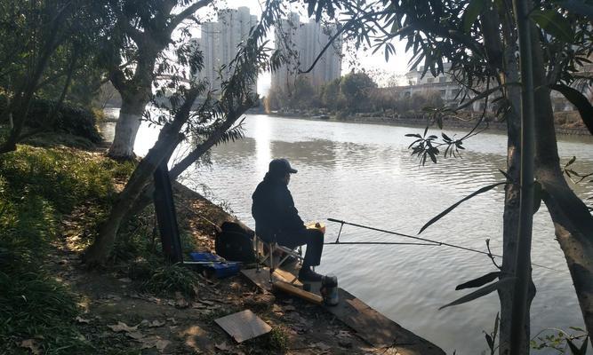 运河支流钓鱼技巧（探索运河支流的钓鱼乐趣）