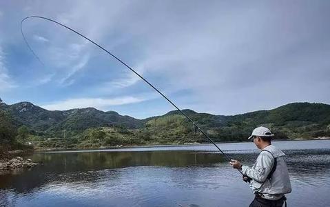 运河支流钓鱼技巧（探索运河支流的钓鱼乐趣）