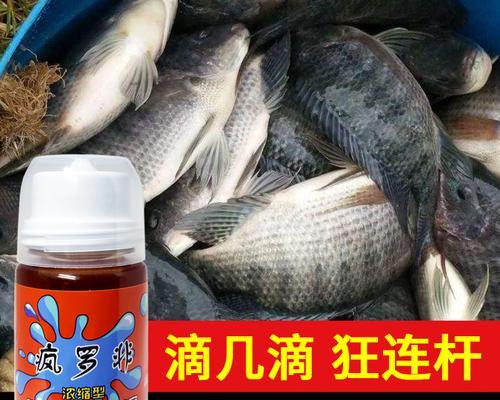 钓鱼技巧（增加鱼儿兴趣和食欲的关键措施）