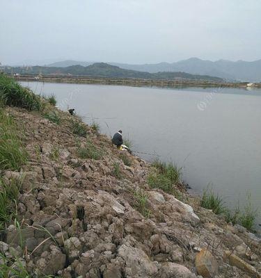 池塘钓鱼小技巧（提升成功率的关键）