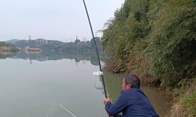 河里钓鱼技巧（玩转河钓）