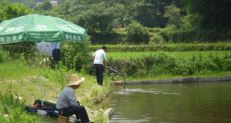 黑坑钓鱼小技巧大揭秘（掌握这几招）