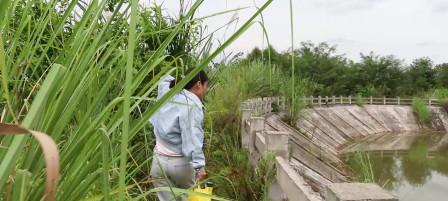 荒塘钓鱼技巧（掌握荒塘钓鱼的技巧）