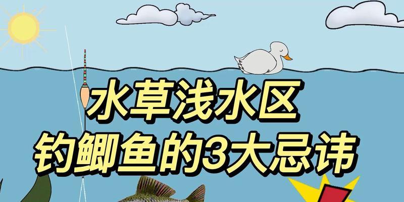 浅水河钓鱼技巧大揭秘（掌握这些技巧）