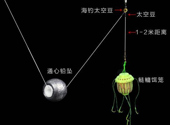 水库抛竿钓鲢鳙的绝技（掌握有效技巧）