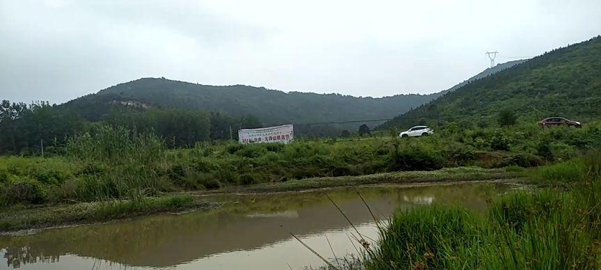 脏水沟钓鱼技巧与方法（掌握关键技巧钓获丰富鱼群）