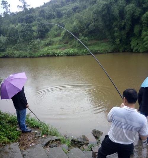 阴天钓鱼的技巧与策略（探寻钓鱼宝典）