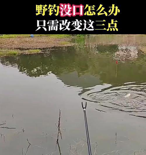 早春钓鱼技巧大揭秘（钓鱼达人教你如何在早春捕获丰盛的渔获）