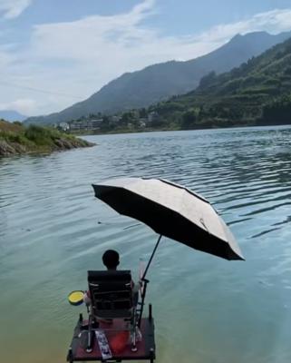 早春河道钓鱼技巧（掌握正确方法）