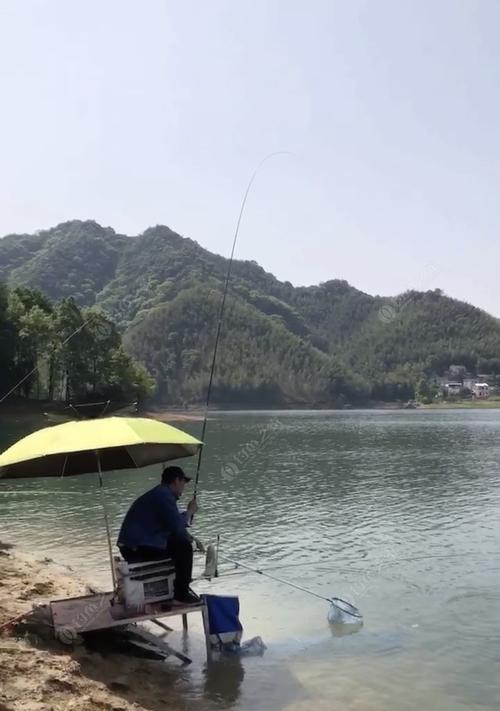 早春野钓深坑鲤鱼技巧（挑战春日深坑）