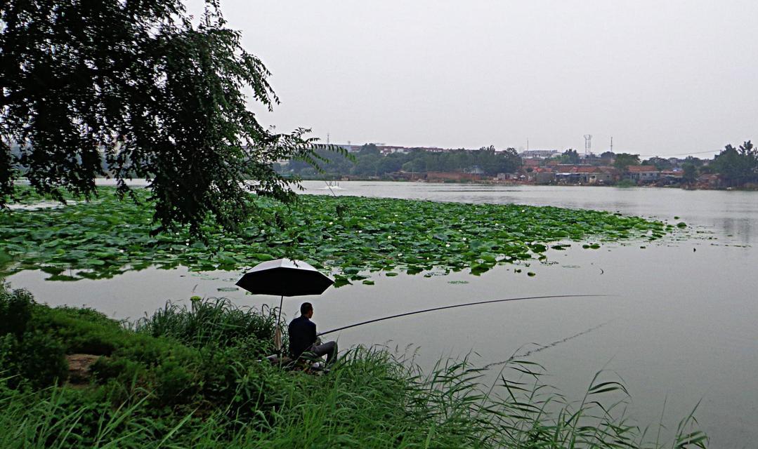 早春下雨降温天钓鱼技巧（下雨降温）