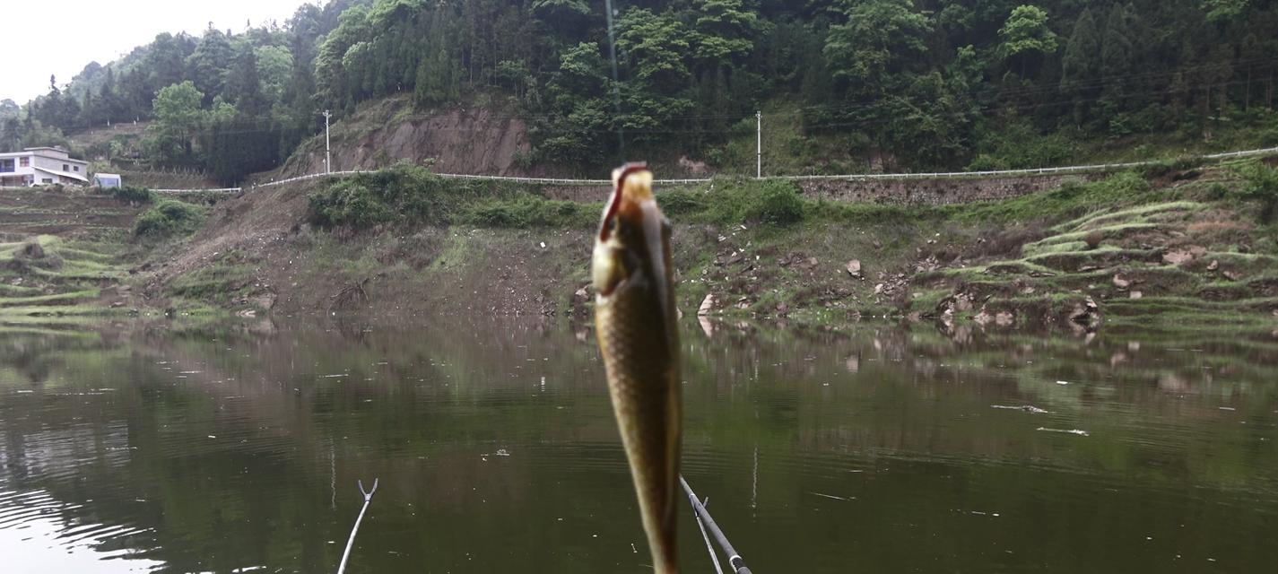 早春野钓小技巧大揭秘（掌握这些技巧）