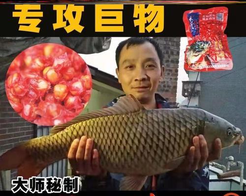 煮麦子钓鱼技巧教程？如何提高钓获率？